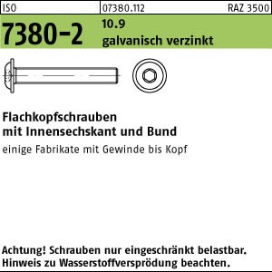 ISO 7380-2 / 10.9  Flachkopfschraube m. Bund  M 8 x 25 verz.