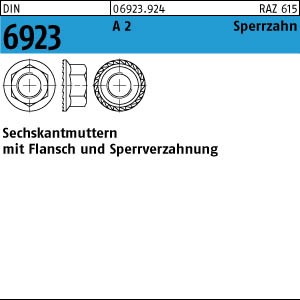 DIN 6923 A2  M 10 mit Sperrverzahnung