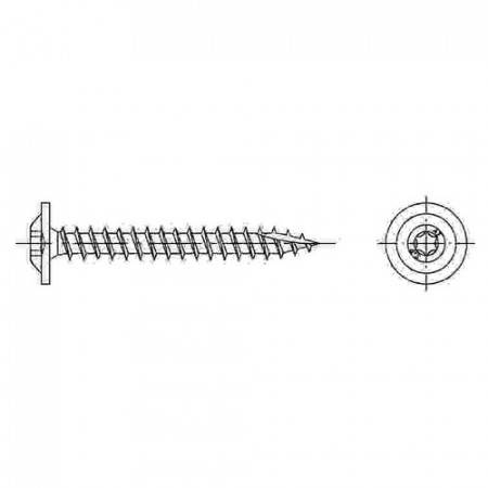 Tellerkopf Art. 9250 - Vollgewinde - Torx - Edelstahl A2