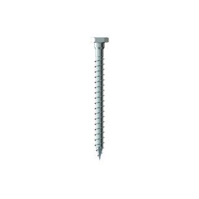 Eurotec Transportanker-Schraube 13 x 250 mm