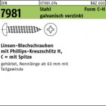 DIN 7981 Linsen-Blechschraube Kreuzschlitz H - verzinkt passiviert