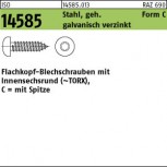 ISO 14585 Linsenkopf-Blechschraube Antrieb T - galvanisch verzinkt