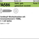 ISO 14586 Senkkopf-Blechschraube Antrieb T - galvanisch verzinkt