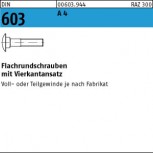DIN 603 A4   Schlossschraube  M 5 x 12