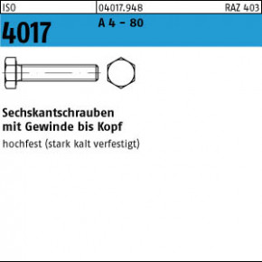 ISO 4017 A4 -80   Sechskantschraube  M 8 x 10