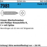 DIN 7981 Linsen-Blechschraube Kreuzschlitz H - Edelstahl A2